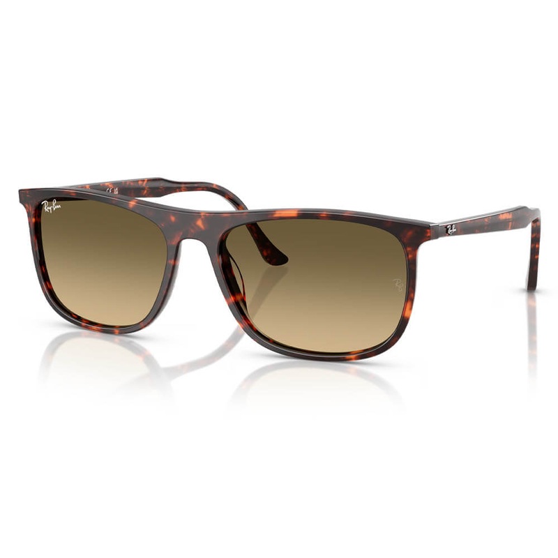 Ray-Ban RB2216 Sunglasses