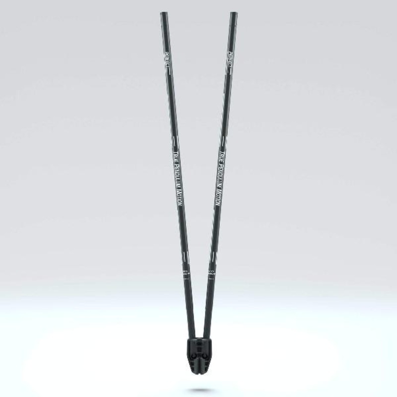 Perfect Practice True Pendulum Motion / TPM